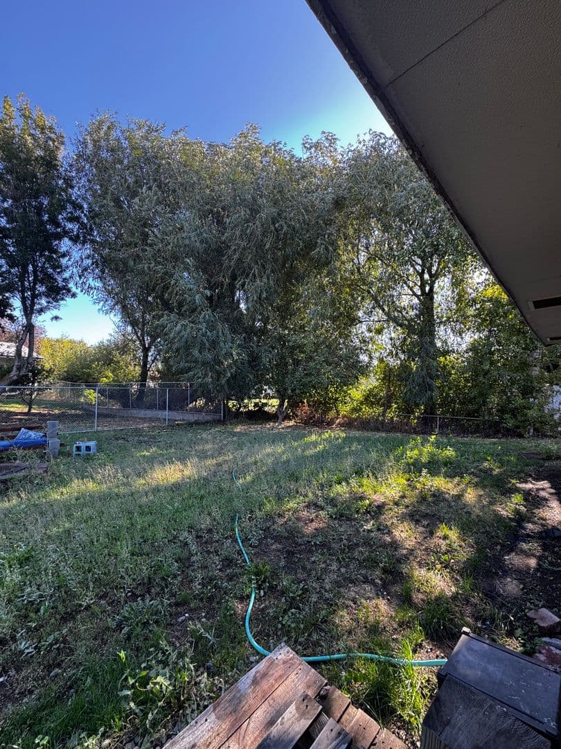 Ellensburg House: 1806 Parklane