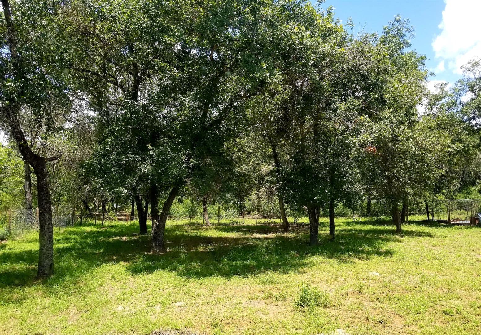 Elmendorf House: 23322 Dragon Rock Rd