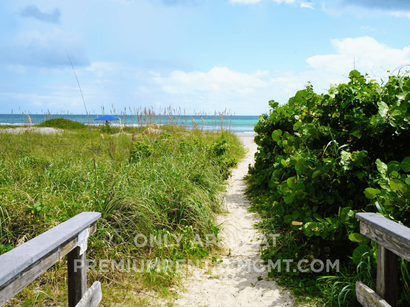 Cape Canaveral Condo: 7165 Ridgewood Ave #7