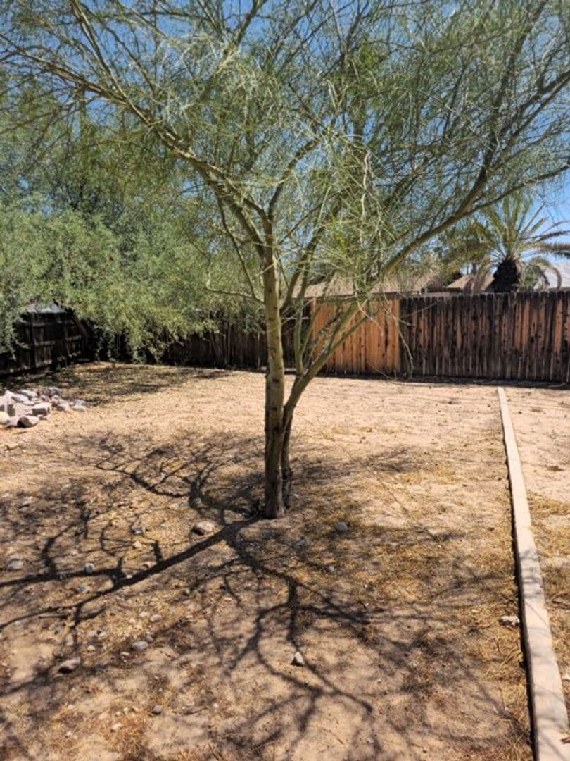 Tempe House: 133 E Del Rio