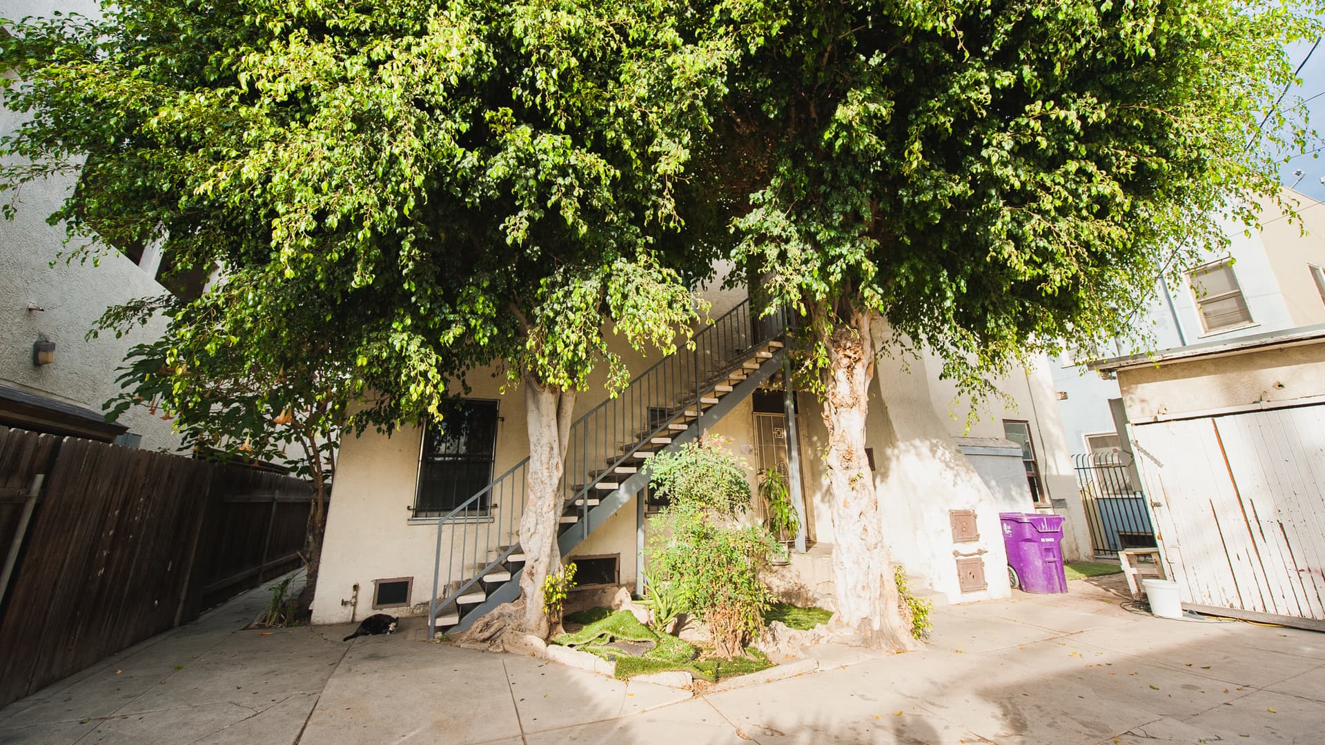 Long Beach Apartment: 230 E. 12th Street