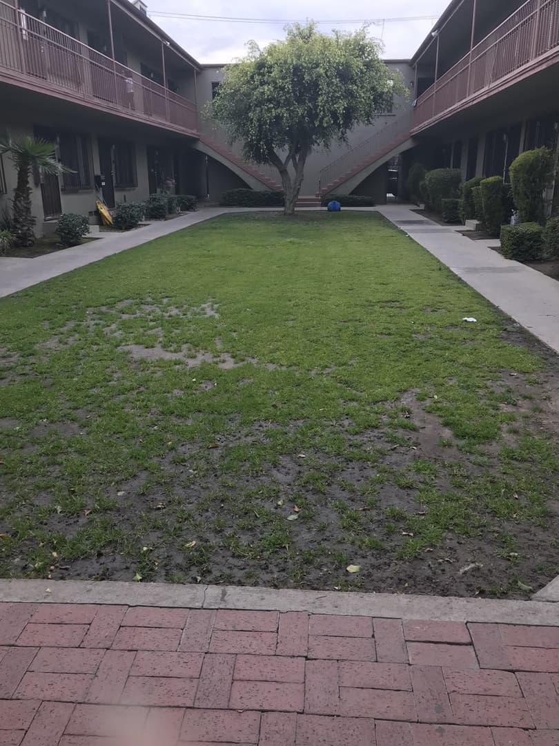 Long Beach Apartment: 1357 Elm Avenue