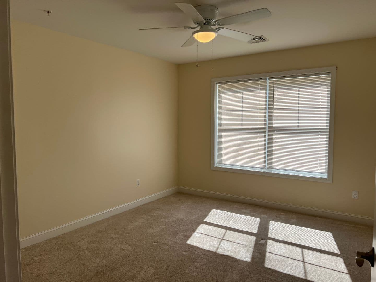 Londonderry Apartment: 6 MacGregor Court
