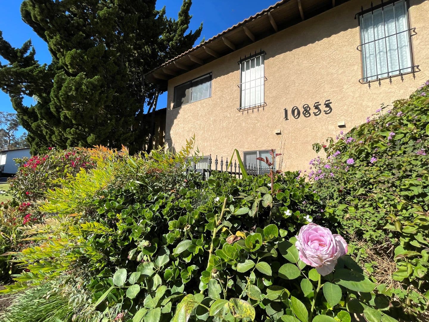 Ventura Apartment: 10855 & 10880 Del Norte