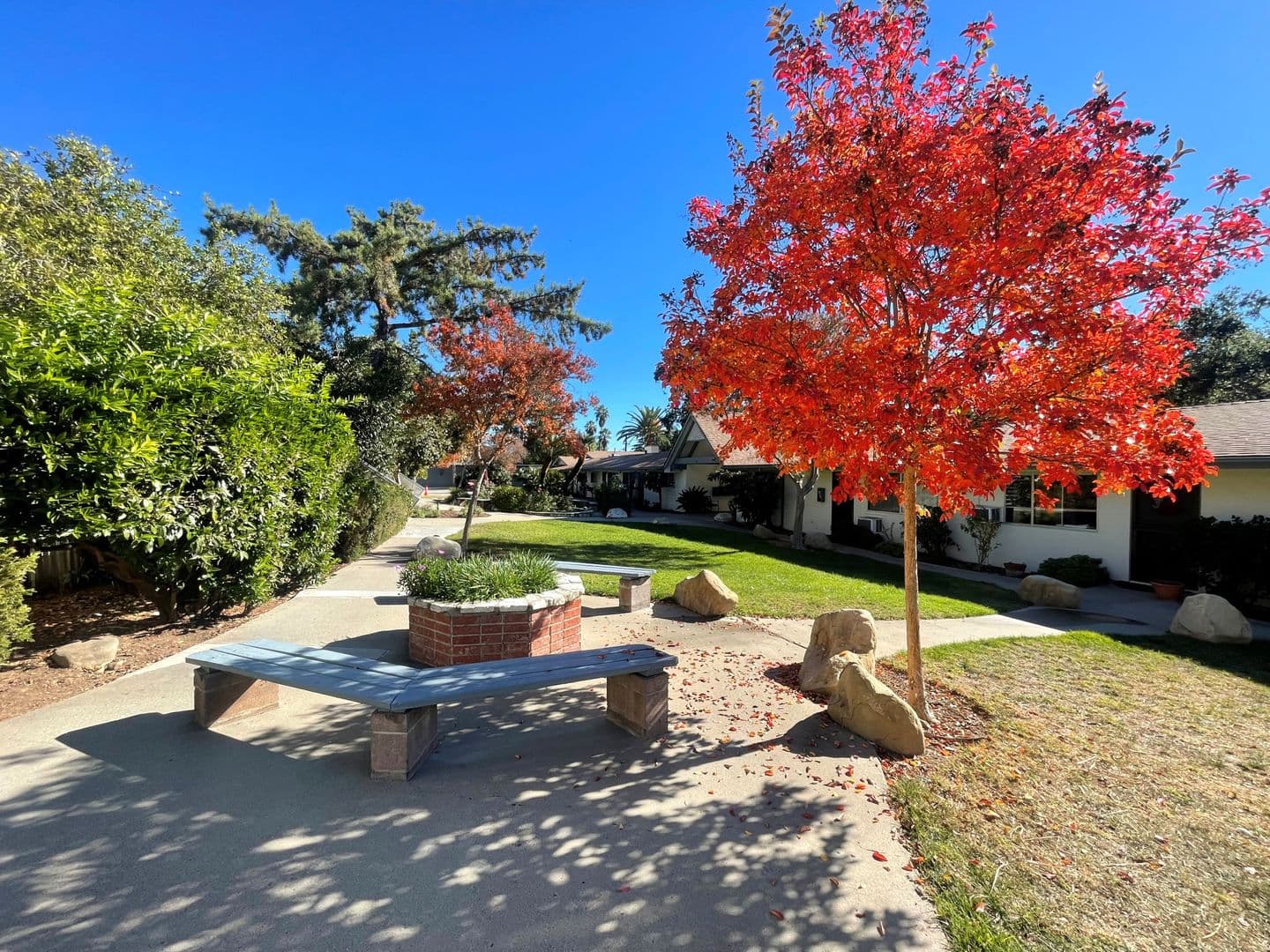 Ojai Apartment: 102 W. Summer Street