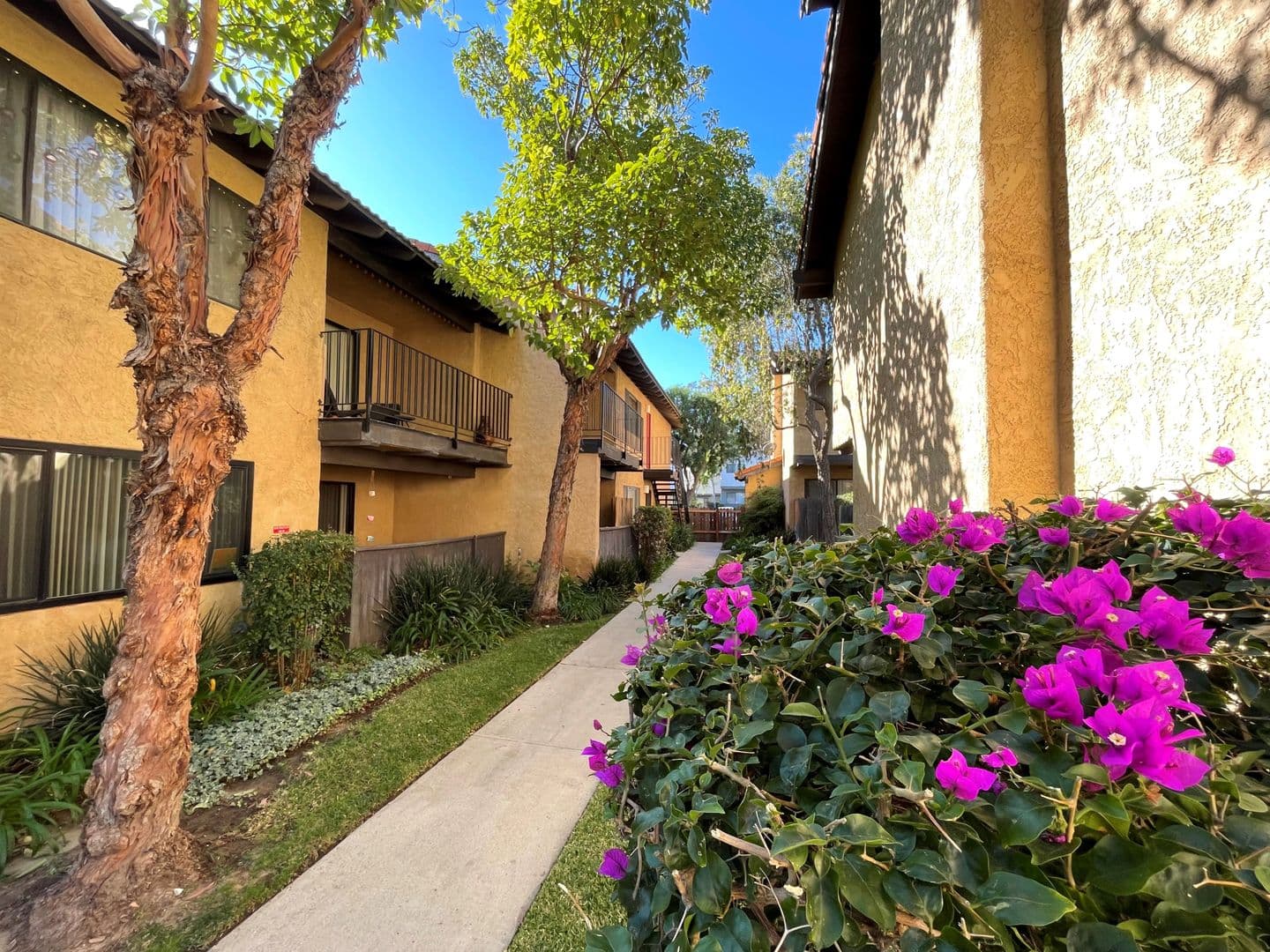 Ventura Apartment: 10855 & 10880 Del Norte