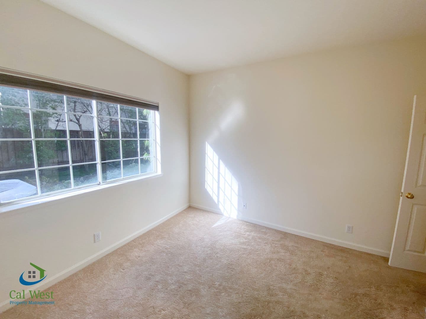 Mountain View House: 855 Jackson Street