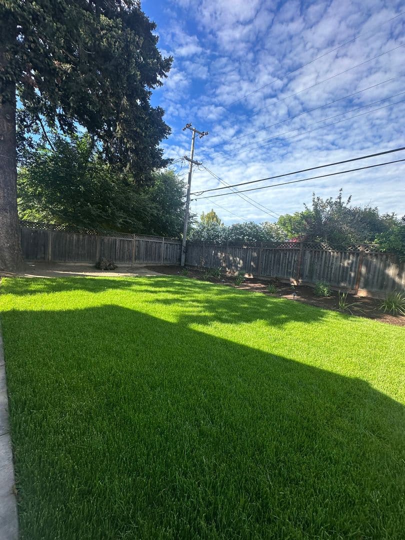 San Jose House: 4309 Ross Avenue