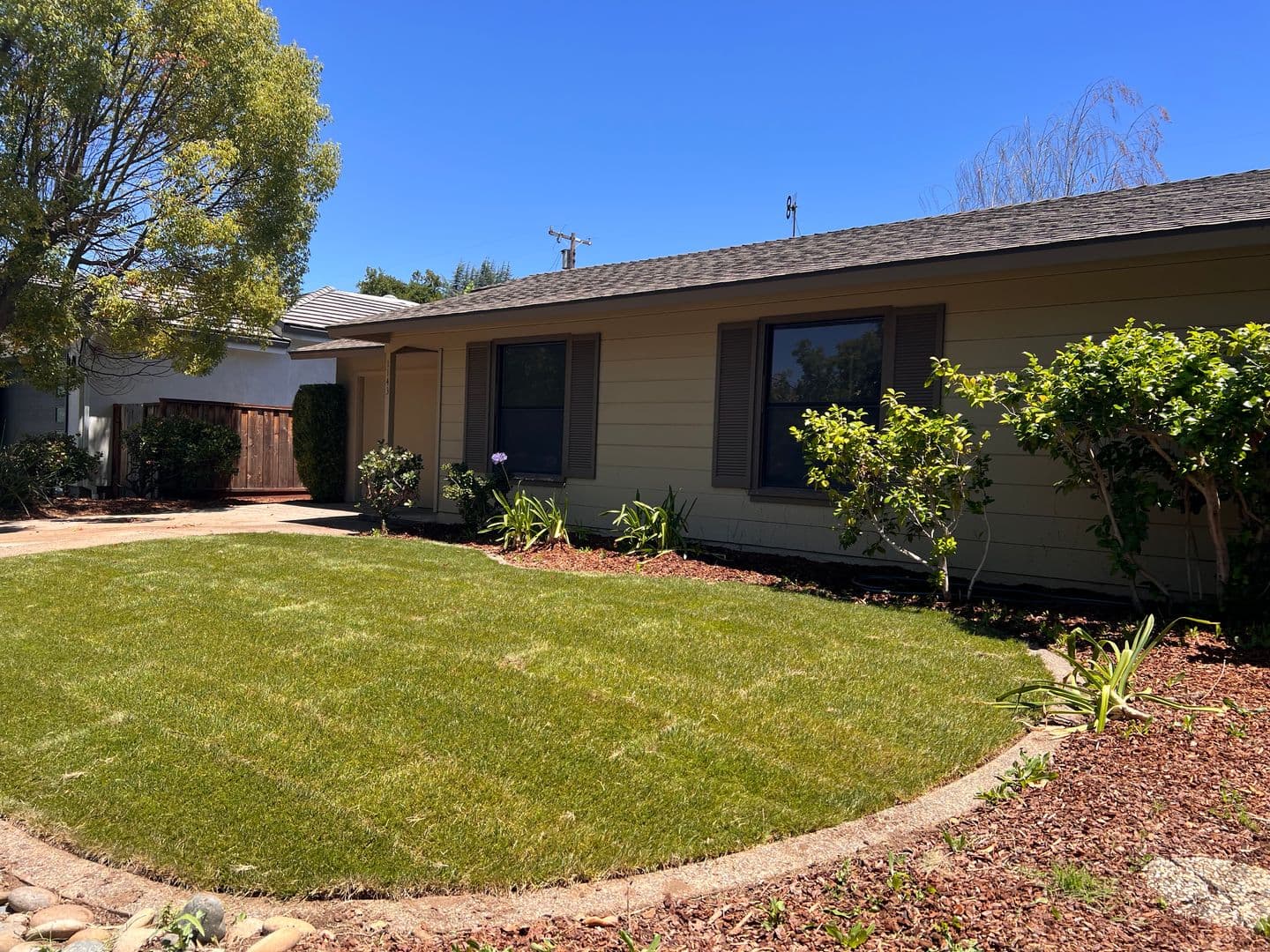 Mountain View House: 1143 Solana Drive