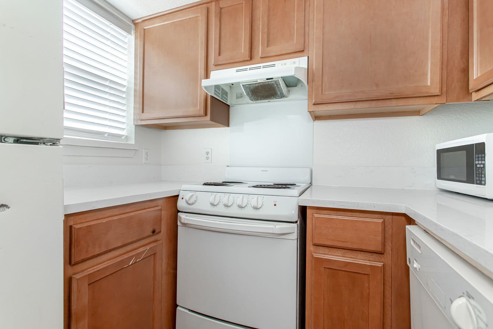 Dallas Apartment: 1901 N Fitzhugh Ave