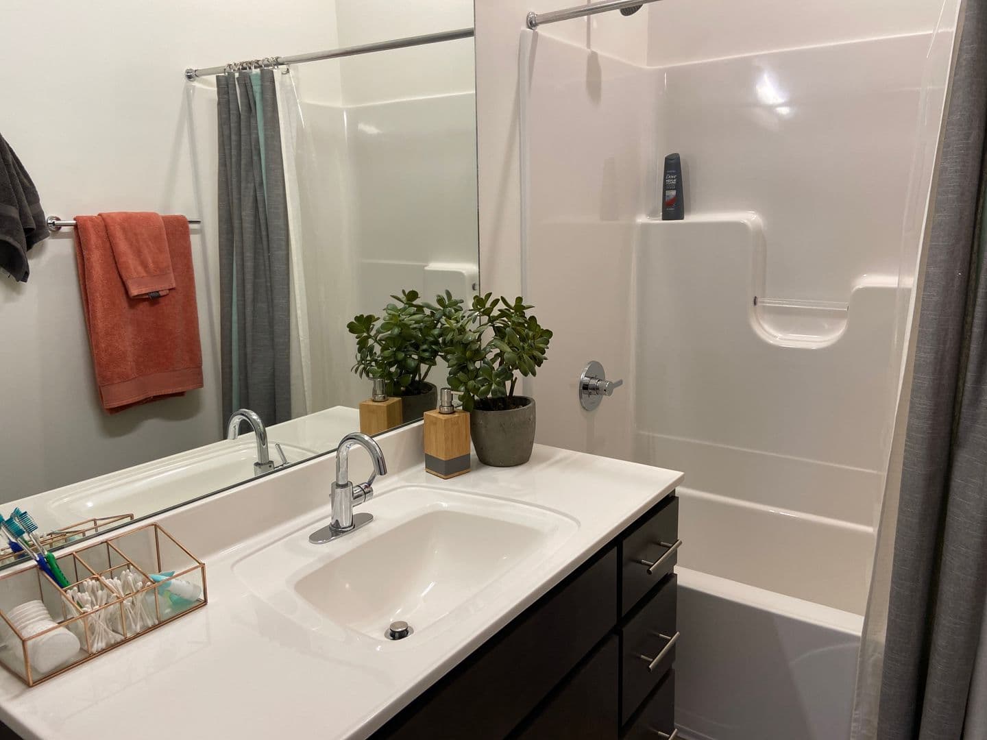 Champaign Apartment: 217 S Neil St
