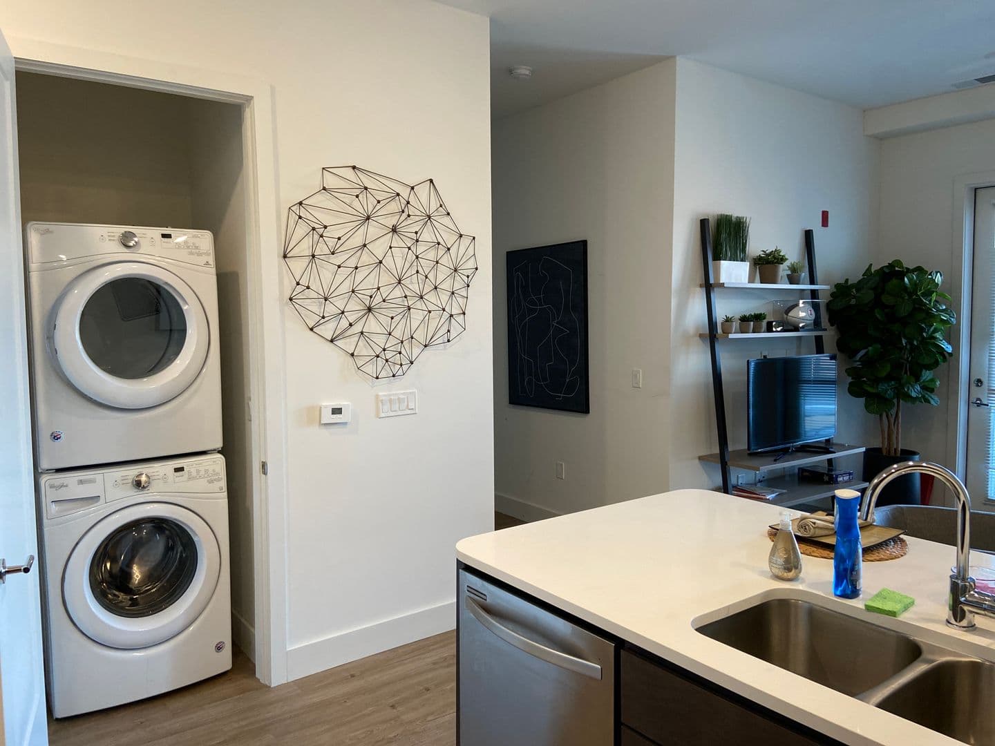 Champaign Apartment: 217 S Neil St