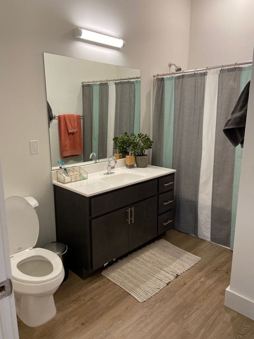 Champaign Apartment: 217 S Neil St
