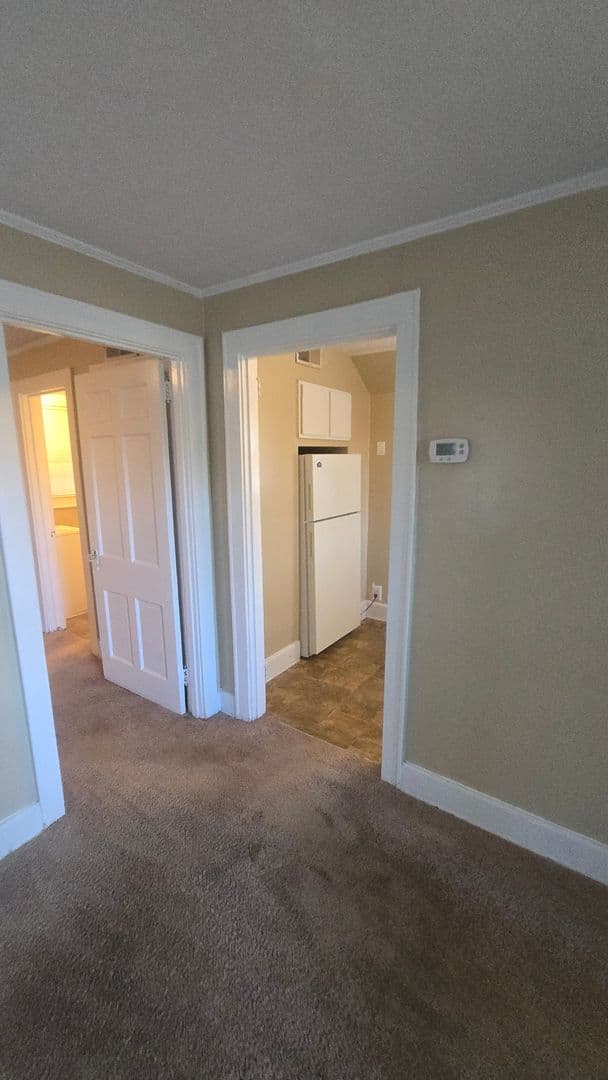 Columbia Apartment: 230 S. Gregg Street