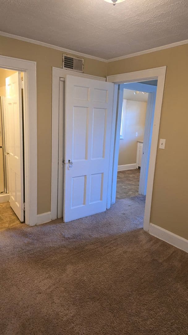 Columbia Apartment: 230 S. Gregg Street