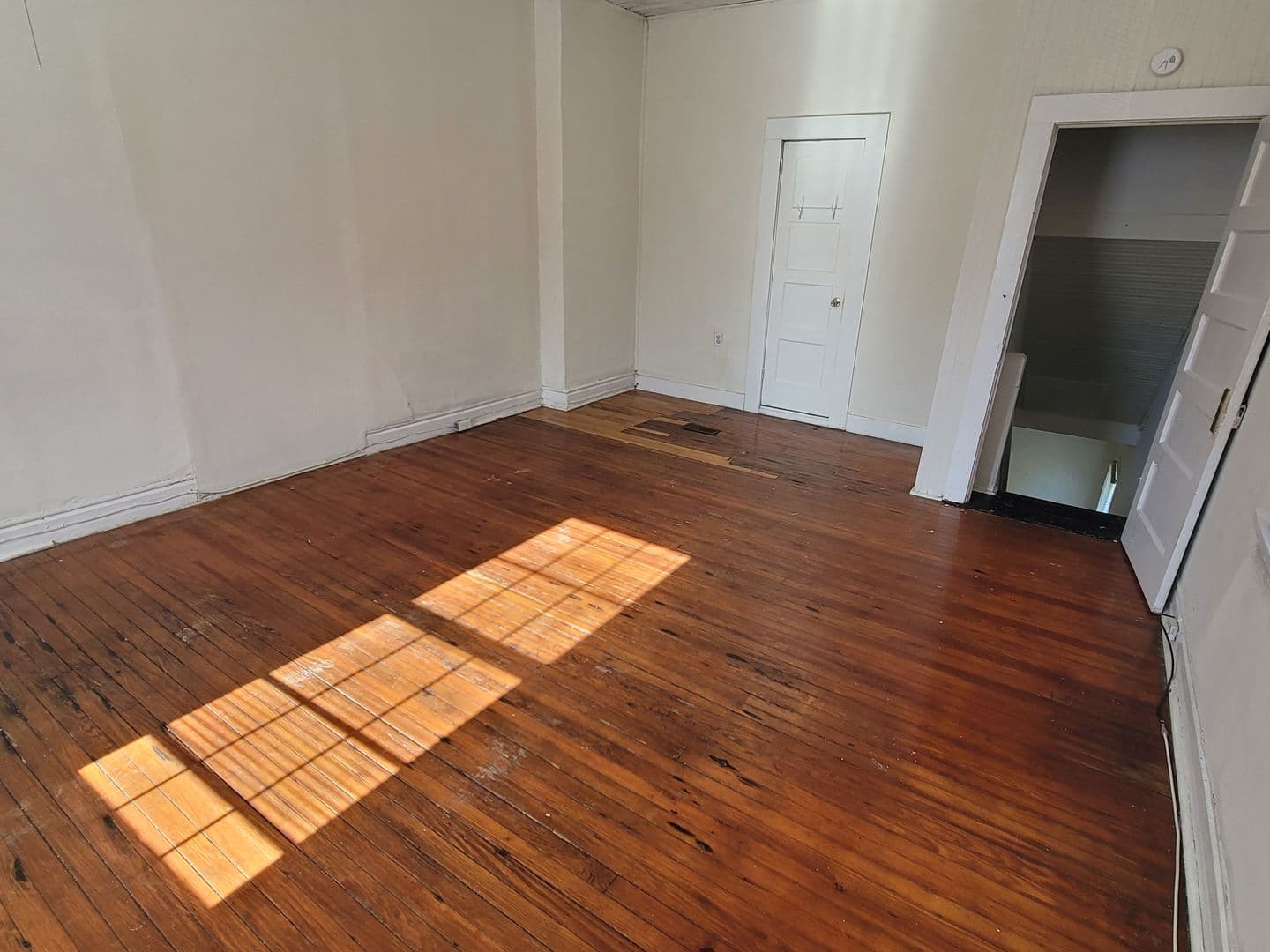 Columbia Apartment: 203 Carolina Street