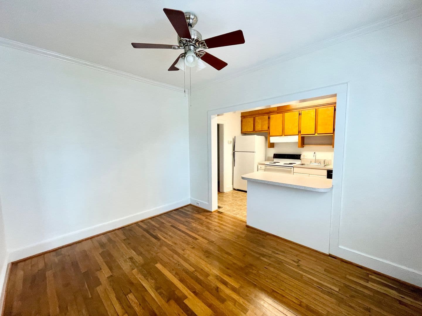 Columbia Apartment: 2213-2215 Rosewood Drive