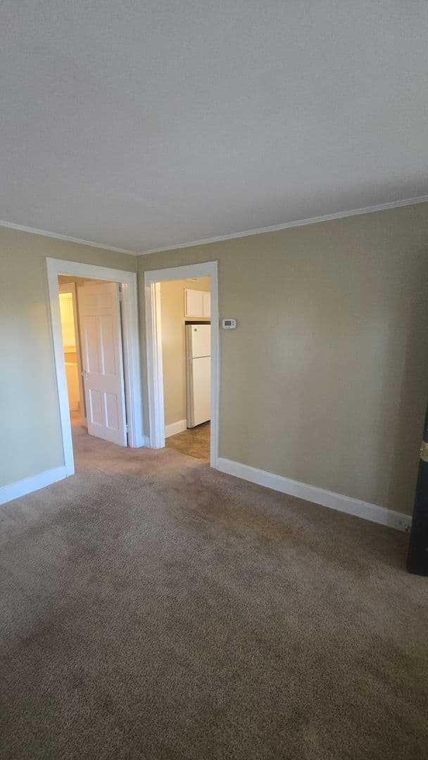 Columbia Apartment: 230 S. Gregg Street