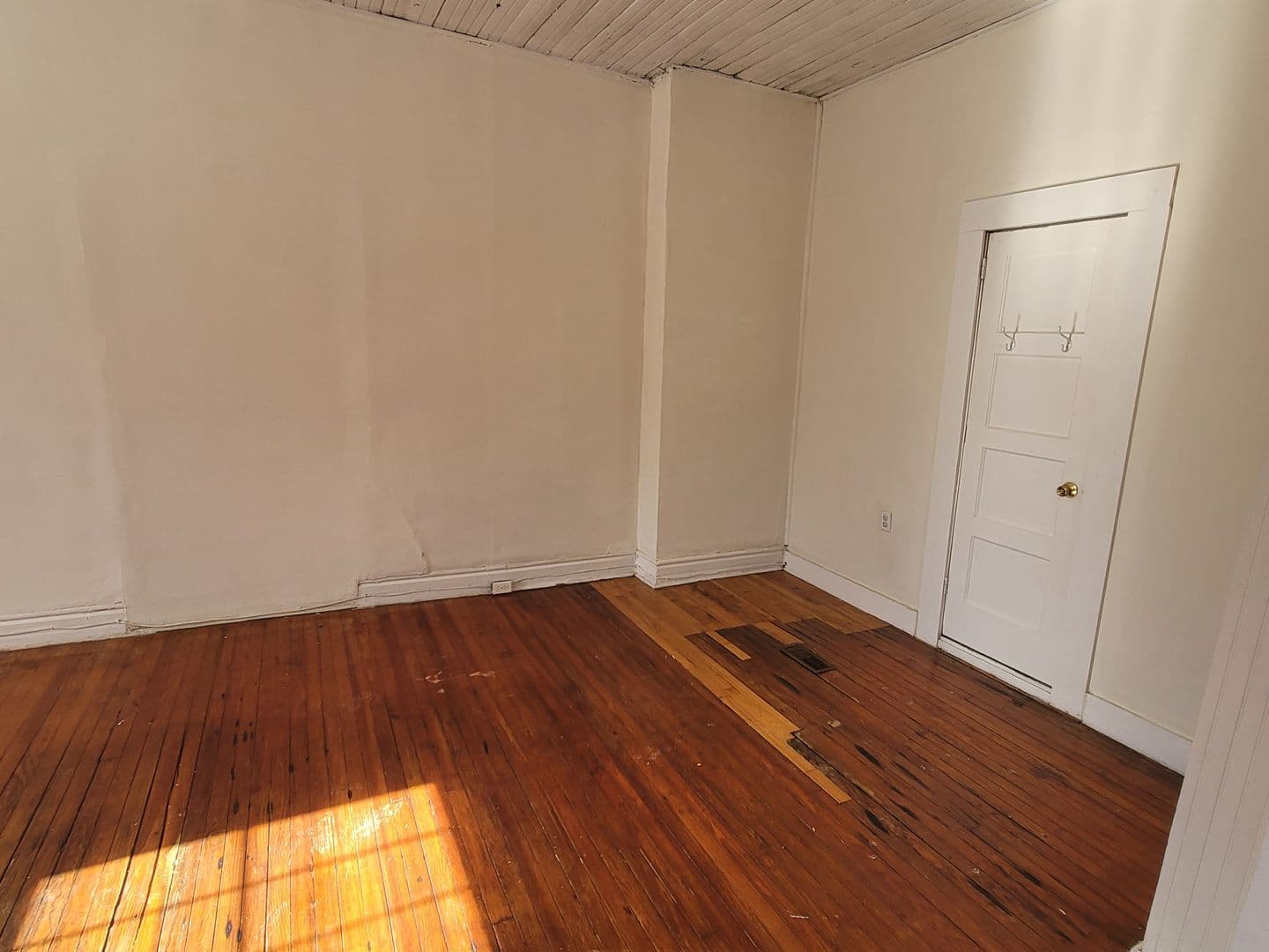 Columbia Apartment: 203 Carolina Street