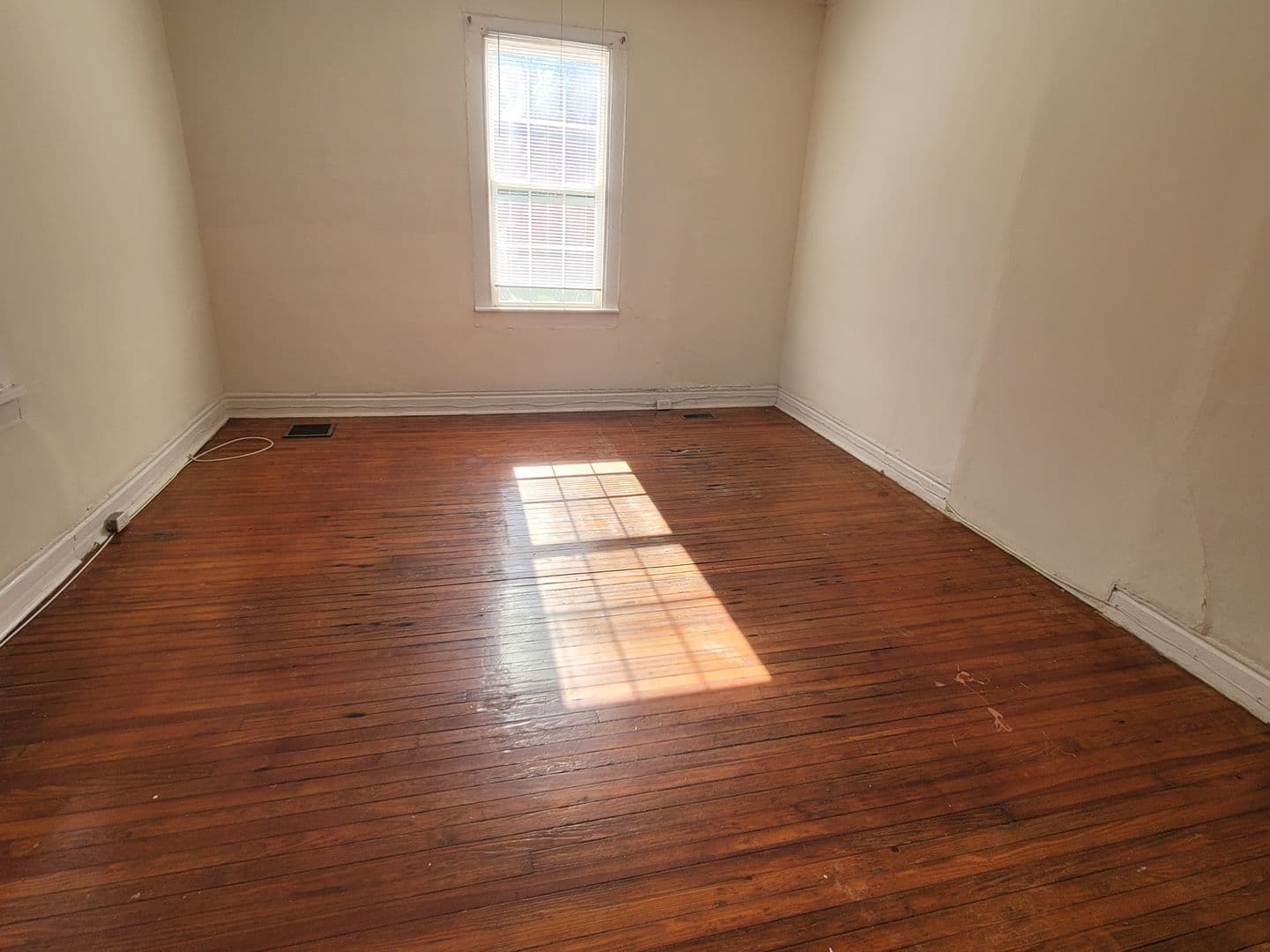 Columbia Apartment: 203 Carolina Street