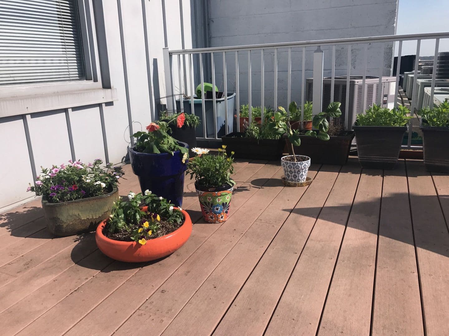 Baltimore Apartment: 121 S Fremont Ave