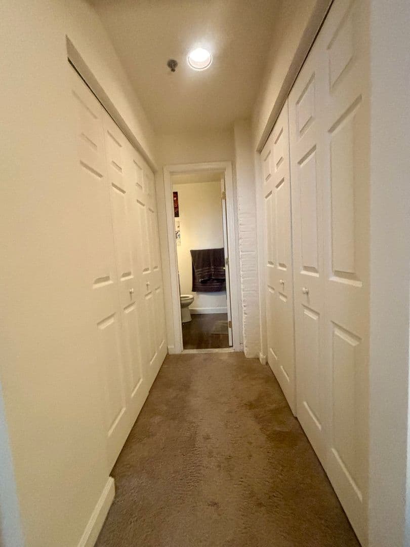 Baltimore Apartment: 121 S Fremont Ave