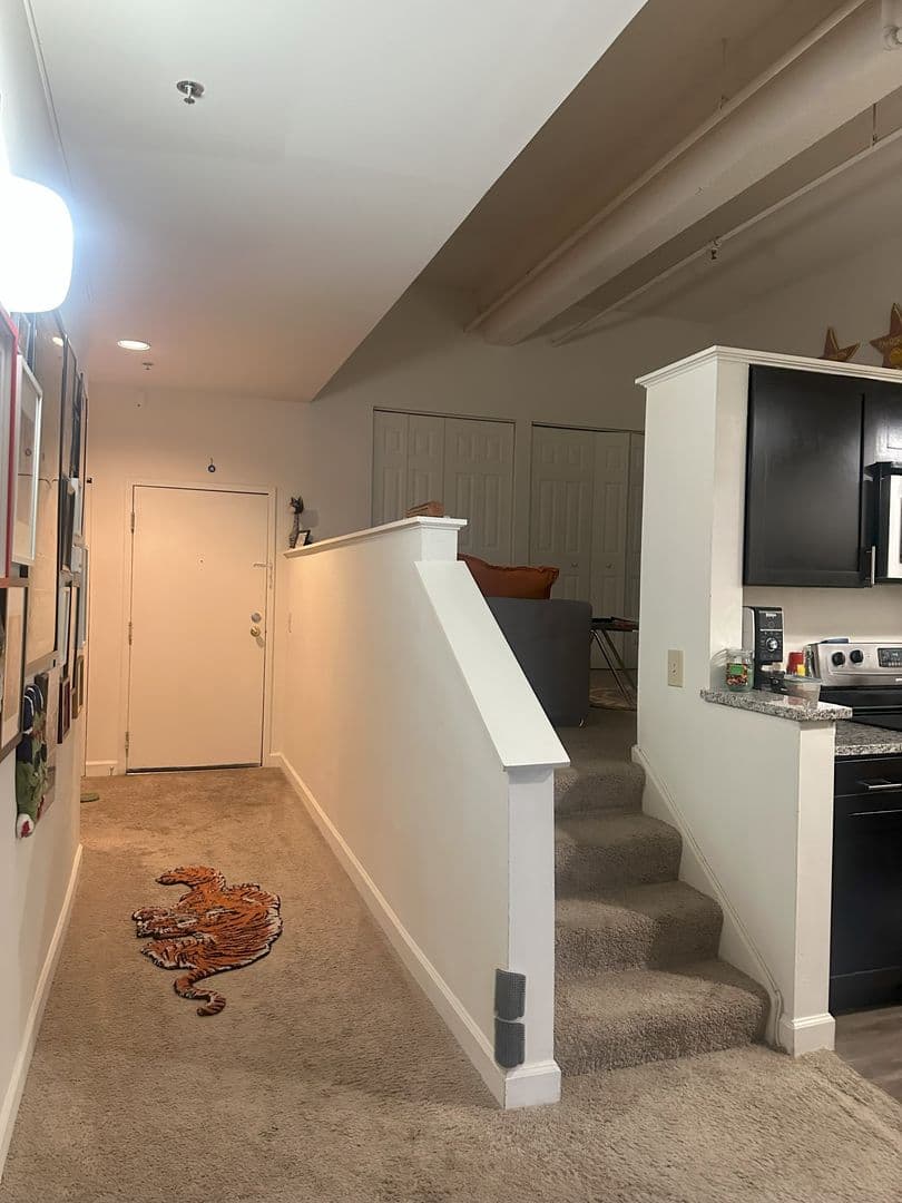 Baltimore Apartment: 121 S Fremont Ave