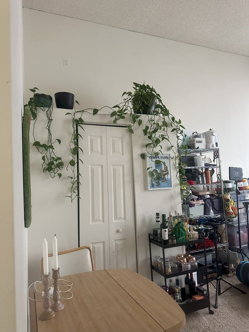 Baltimore Apartment: 121 S Fremont Ave