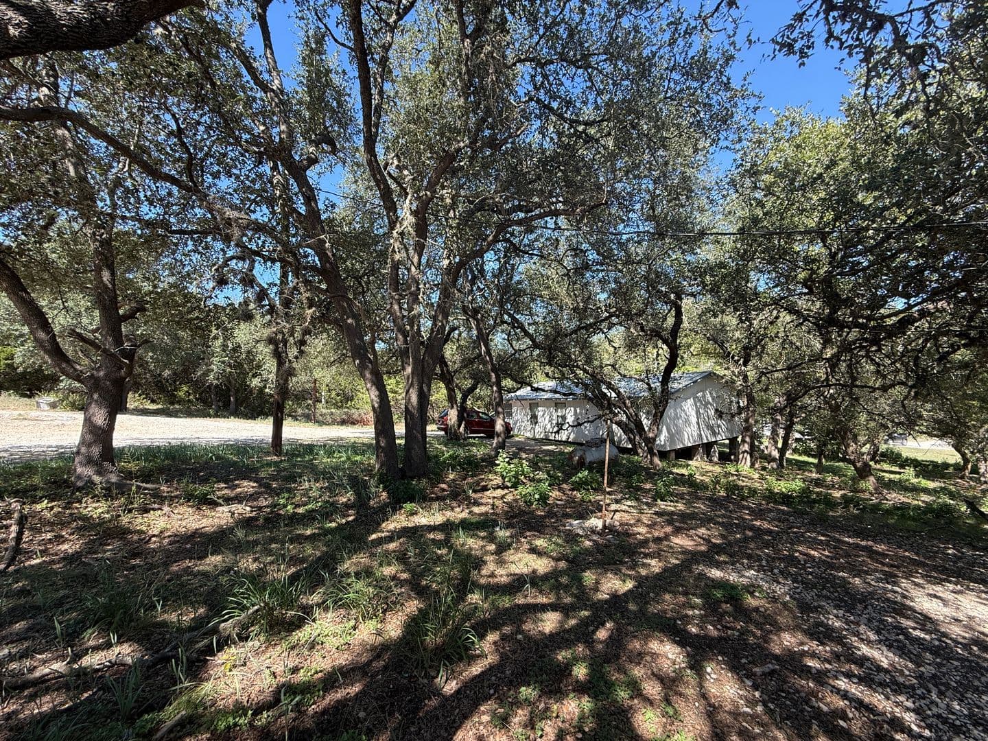 CANYON LAKE Apartment: 150 SONNYLAND