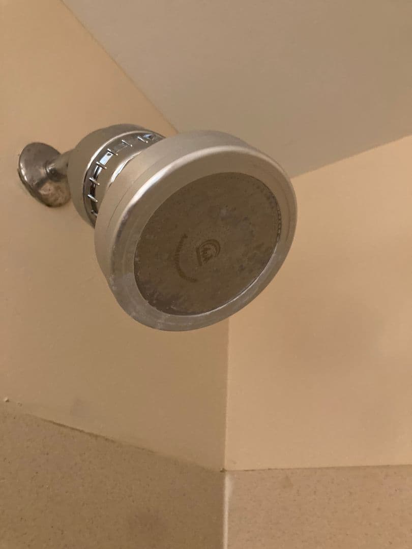 Tallahassee Apartment: 215 W College