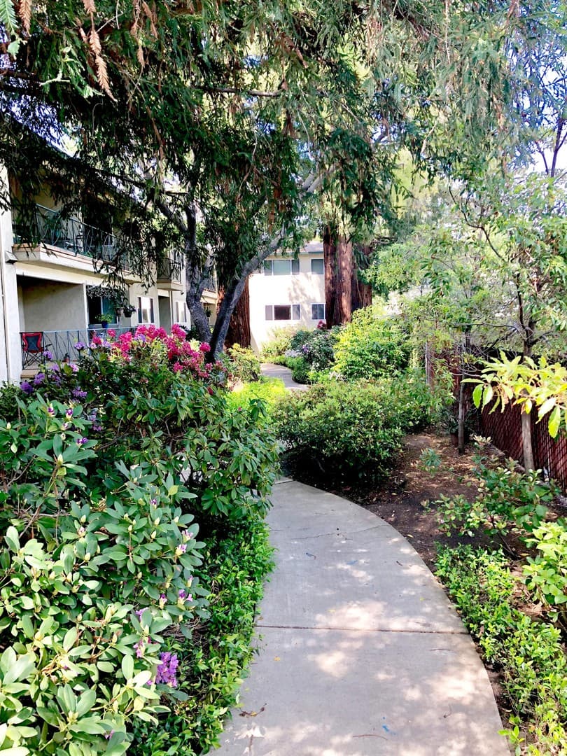 Menlo Park Apartment: 1010 Noel Drive