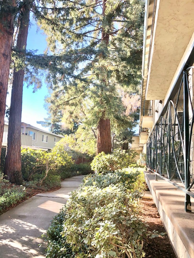 Menlo Park Apartment: 1010 Noel Drive