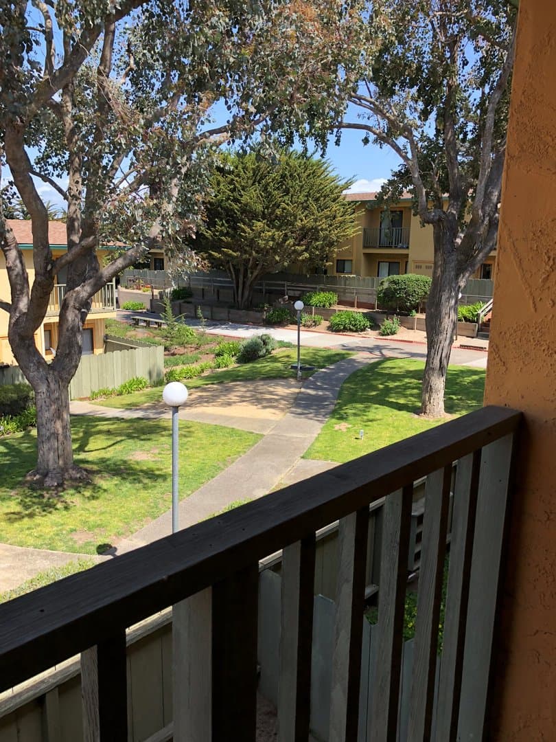 Marina Apartment: 3306 Del Monte Blvd.