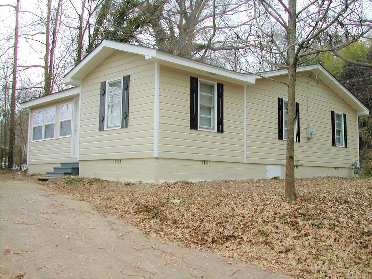Athens House: 313 Georgia Dr