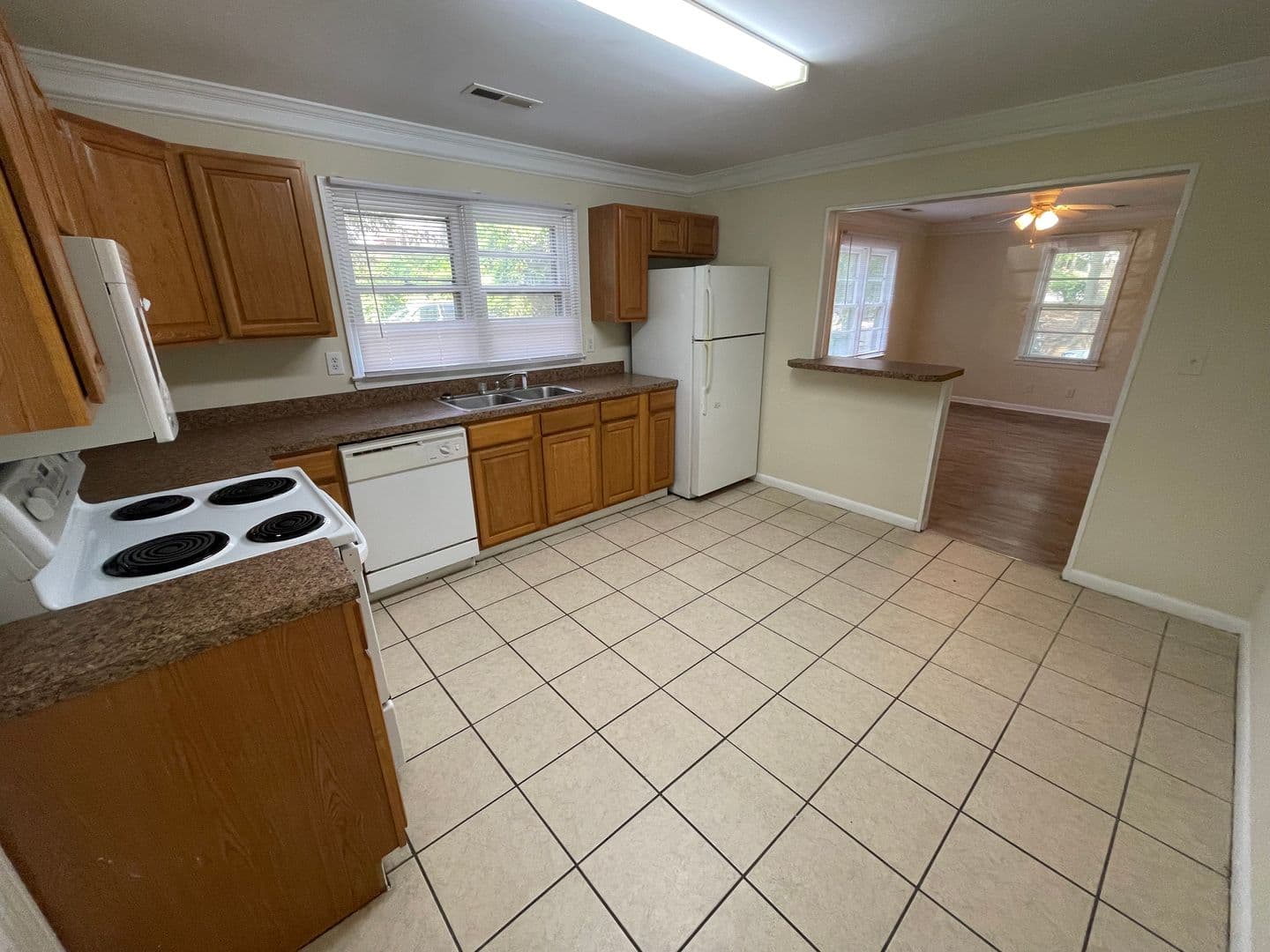 Athens House: 313 Georgia Dr