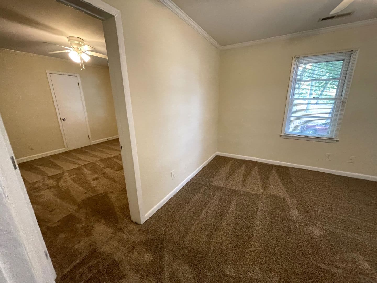 Athens House: 313 Georgia Dr