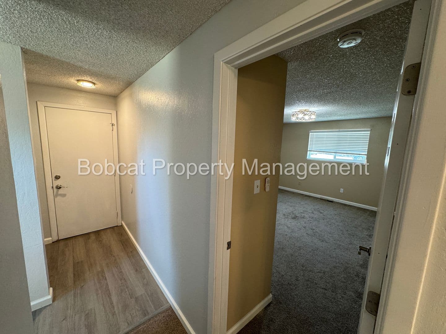 Carson City House: 20 Bodie Dr