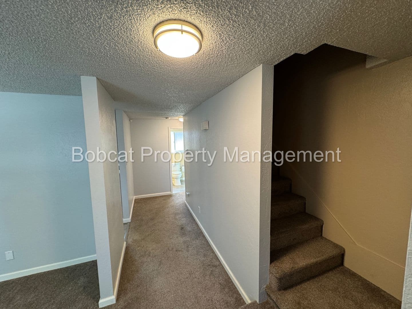 Carson City House: 20 Bodie Dr