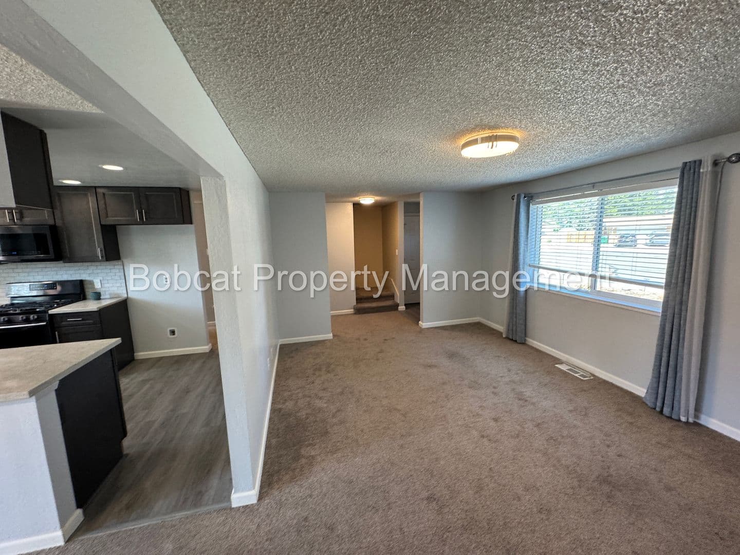 Carson City House: 20 Bodie Dr
