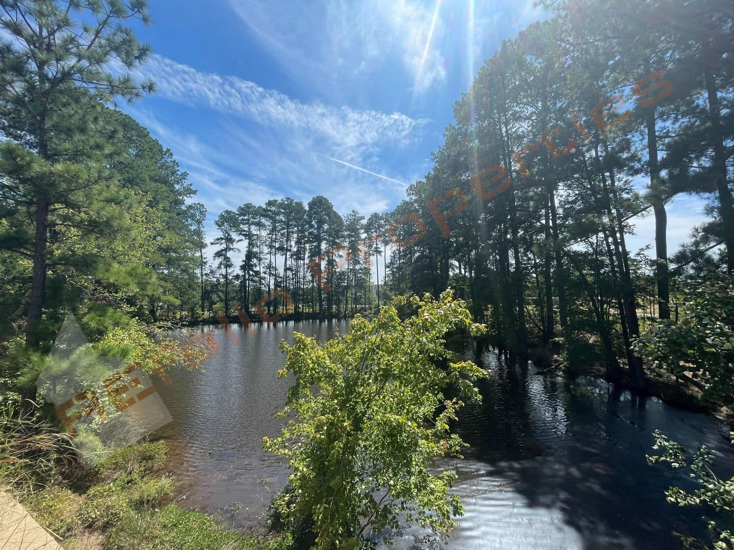 Apex Townhome: 417 Carolina Springs Blvd