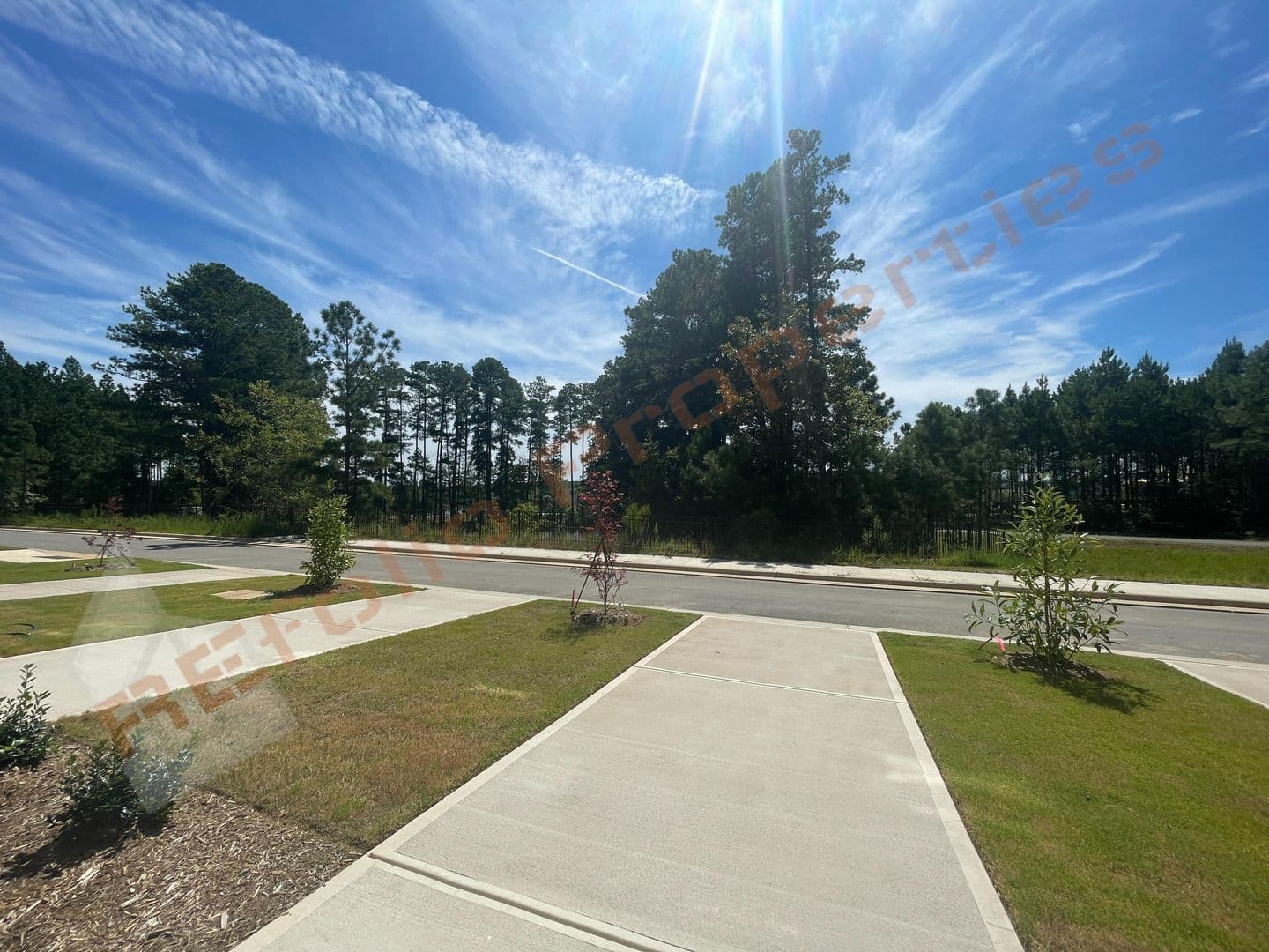 Apex Townhome: 417 Carolina Springs Blvd