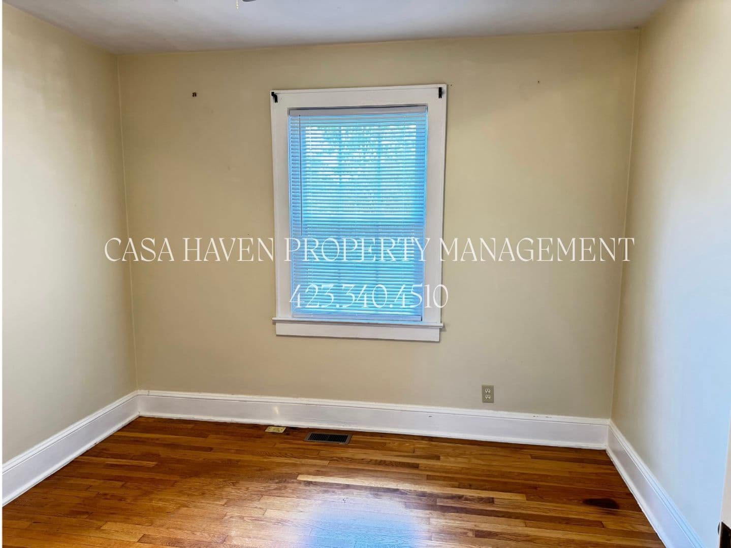 Johnson City Apartment: 302 W Pine Street  - 2