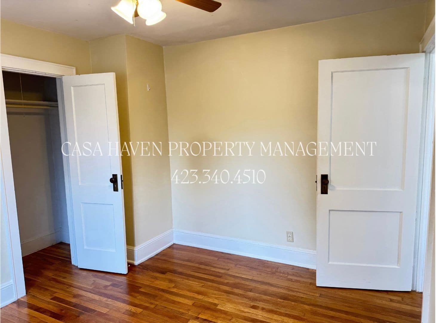 Johnson City Apartment: 302 W Pine Street  - 2