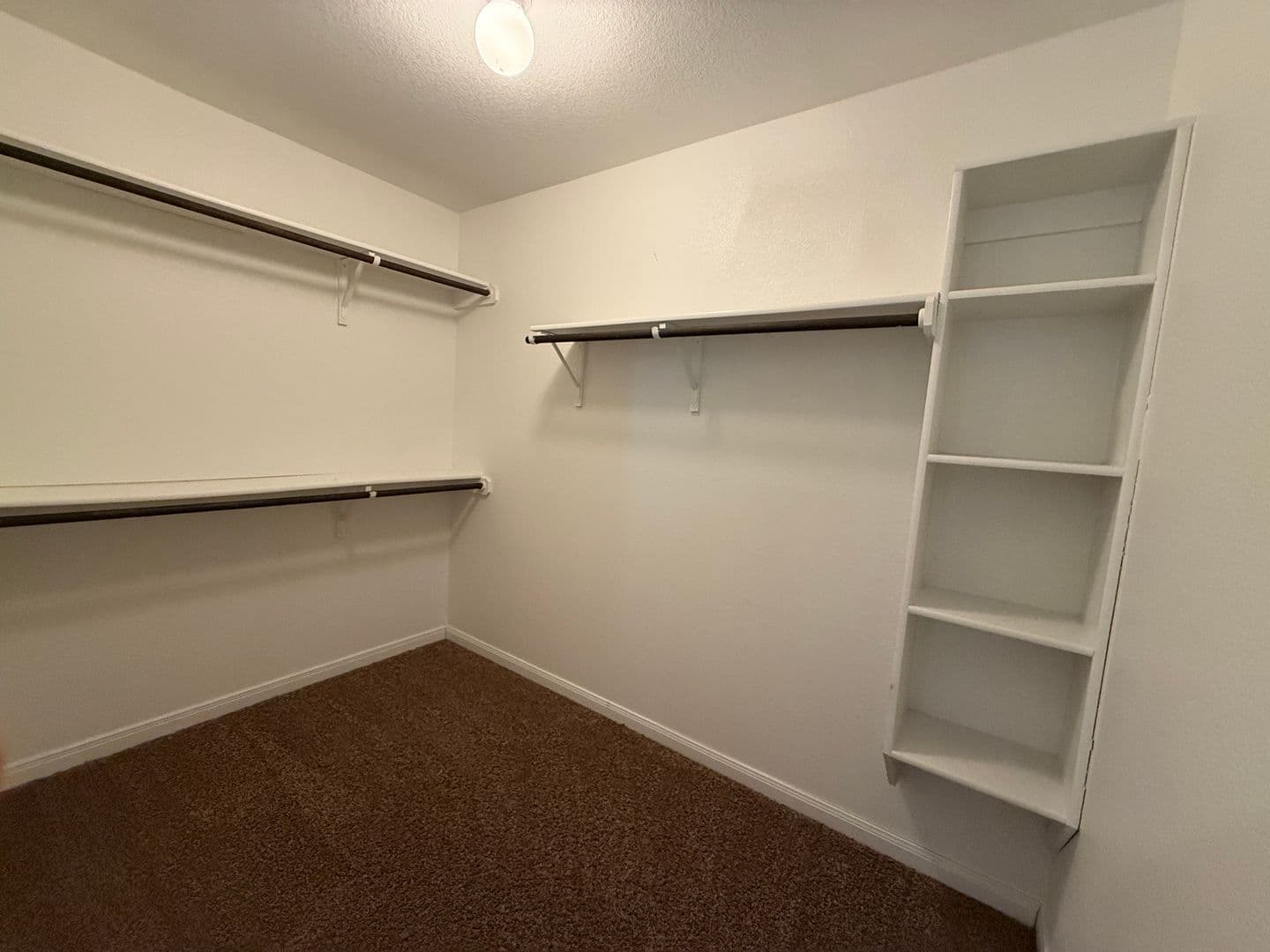 Killeen House: 6009 Cactus Flower Lane