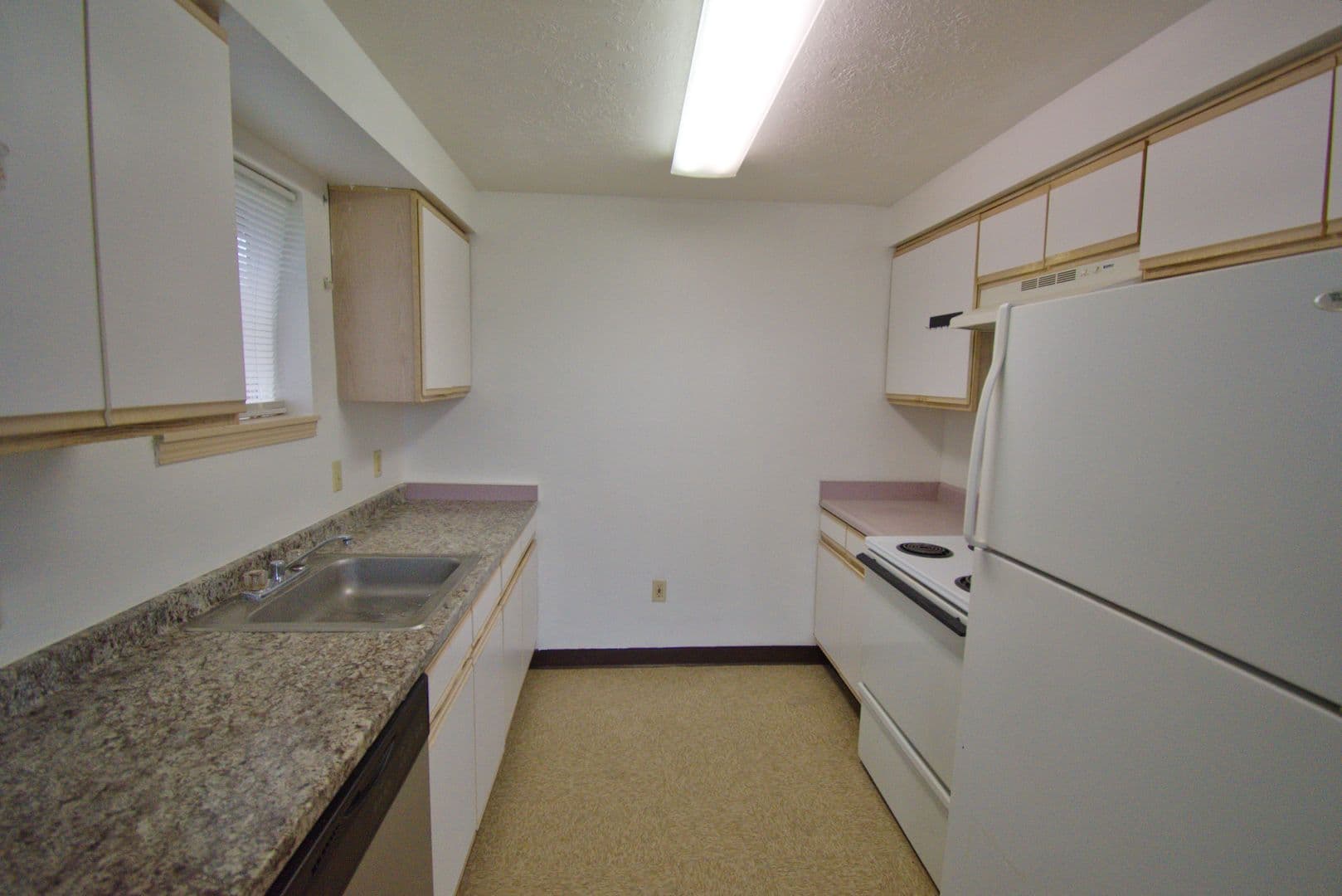 Lebanon Apartment: 125 E Elmore St