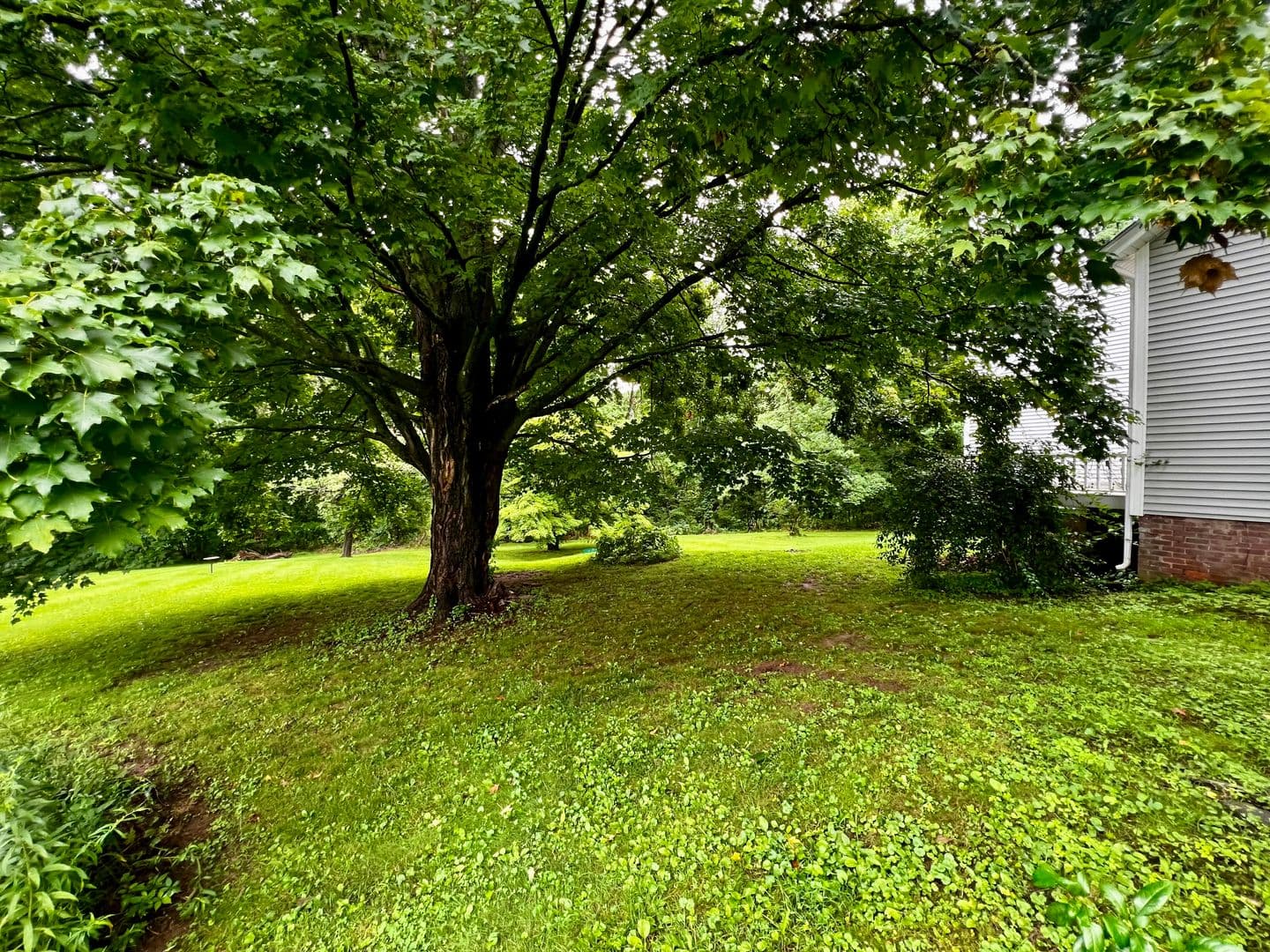 Middletown Apartment: 128 East Street