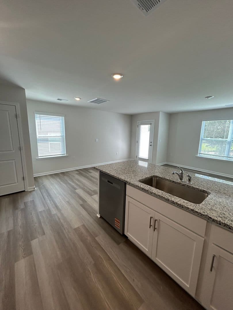 Greenville House: 413 Silicon Drive  - 413 Silicon Drive