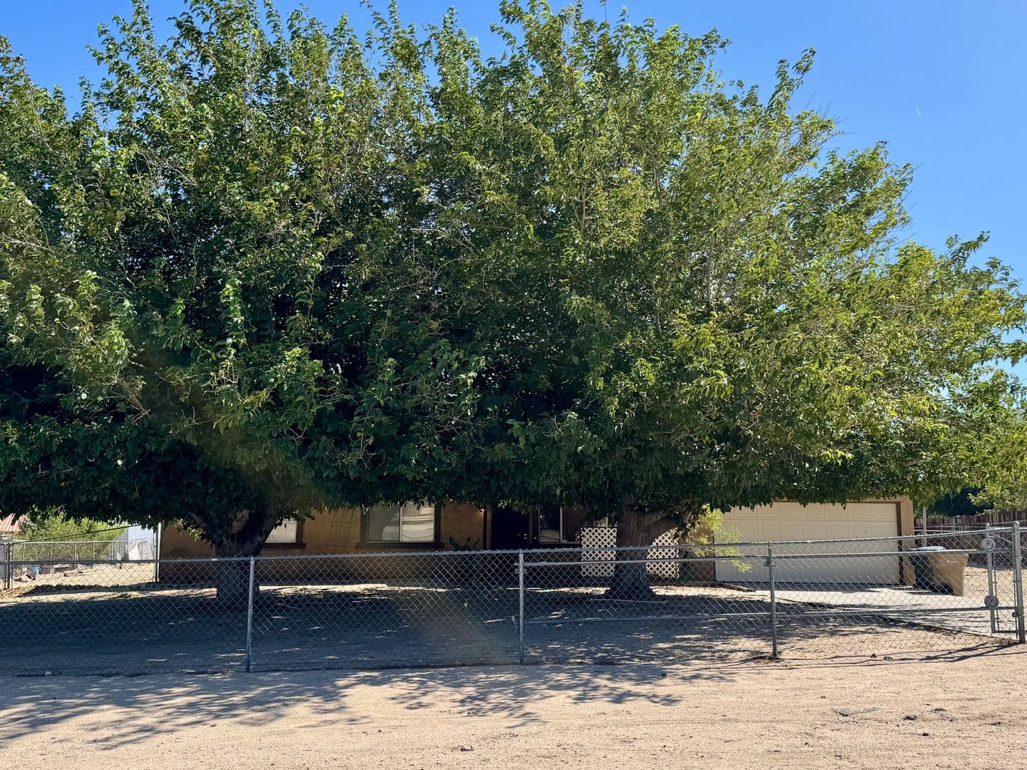 Hesperia House: 19172 Goleta Street