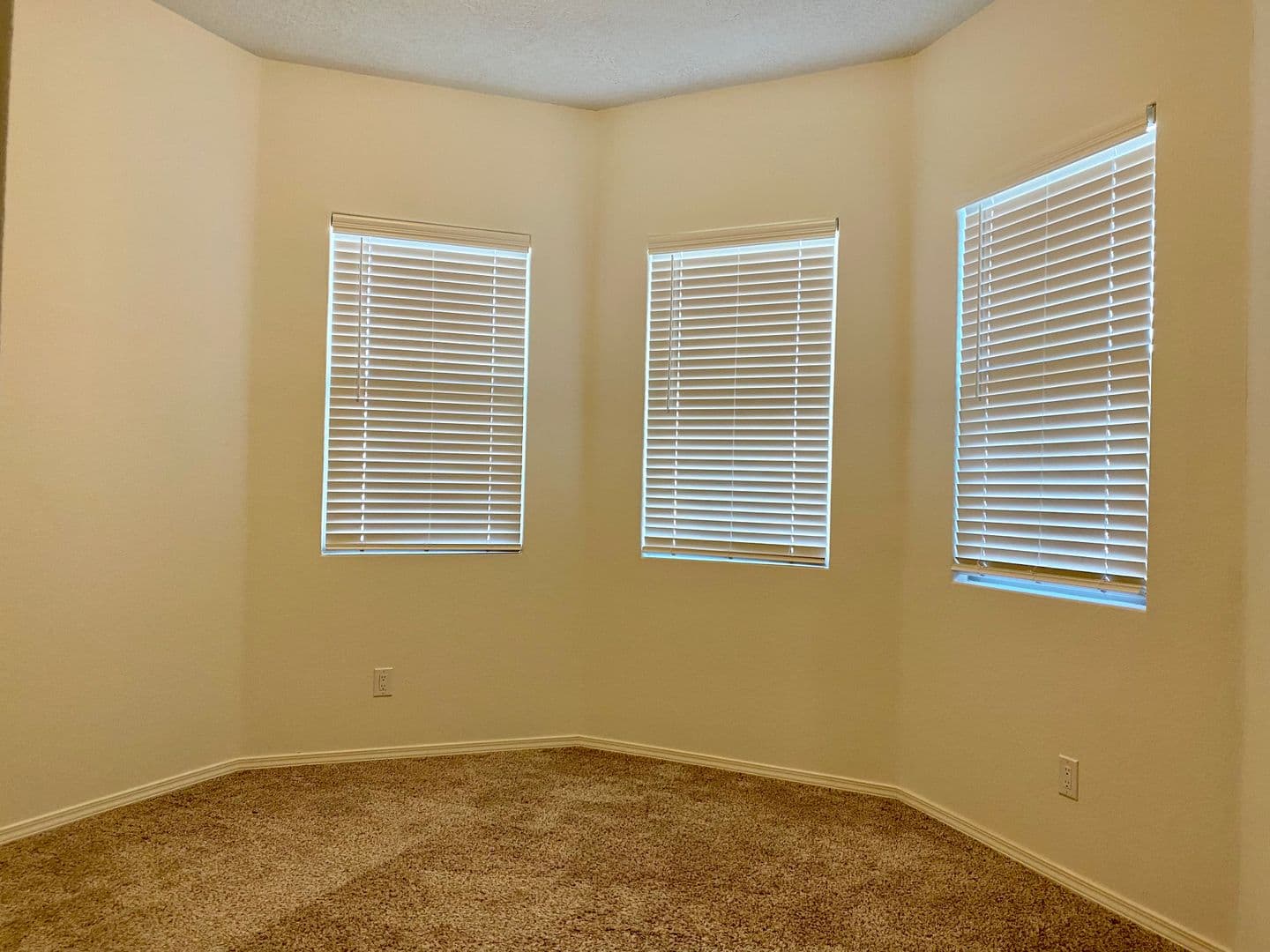Rio Rancho House: 4029 Mountain Trail Lp NE