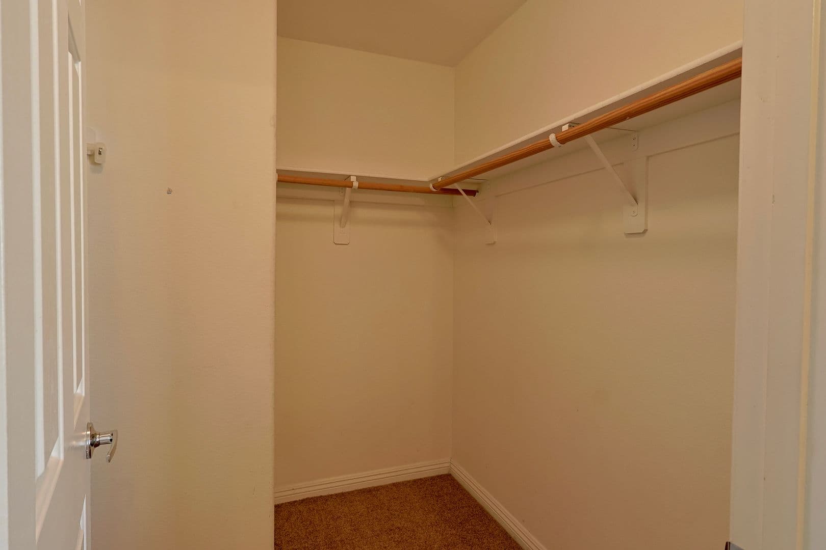 Las Vegas House: 9068 Bushy Tail Ave #101